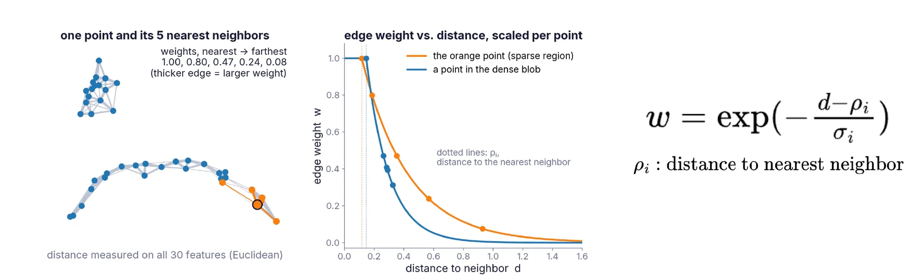 W5-1 p16 · Step 1: 이웃 그래프, 점마다 ρᵢ로 정규화한 edge weight